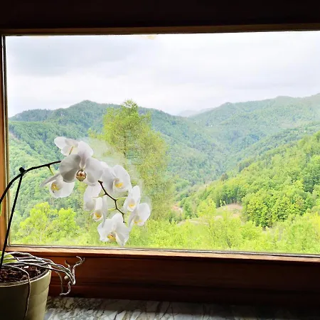 Apartment Vrhouc Tolmin Kültér fotó