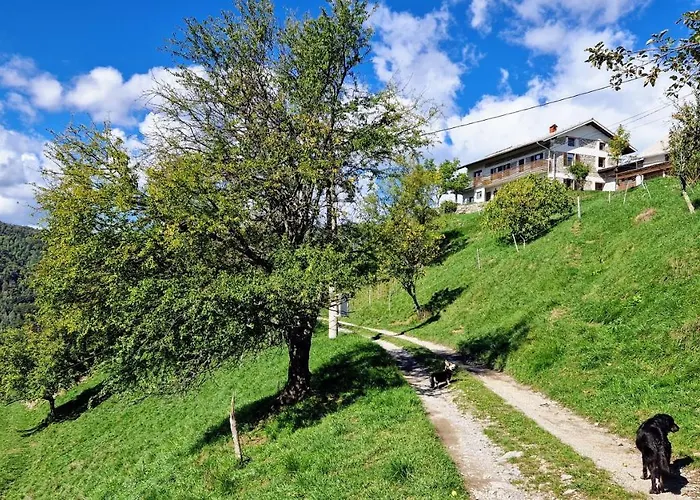 Apartment Vrhouc
