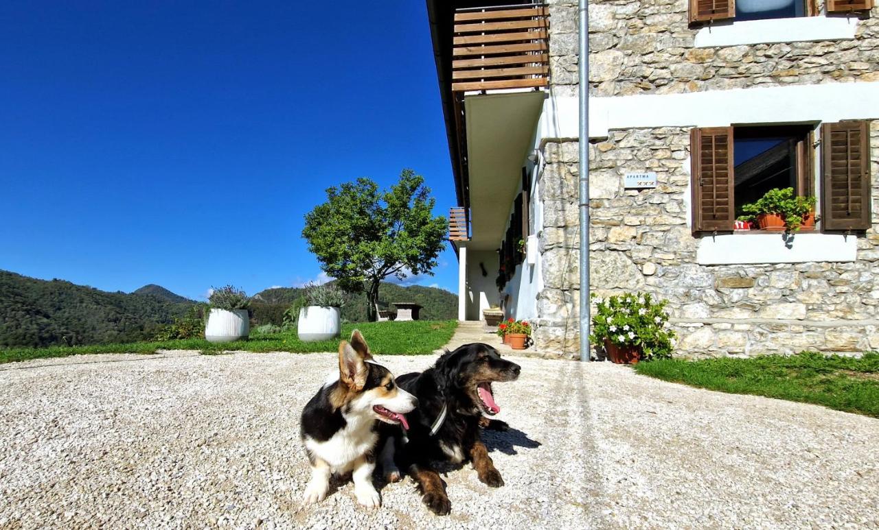 Apartman Vrhouc