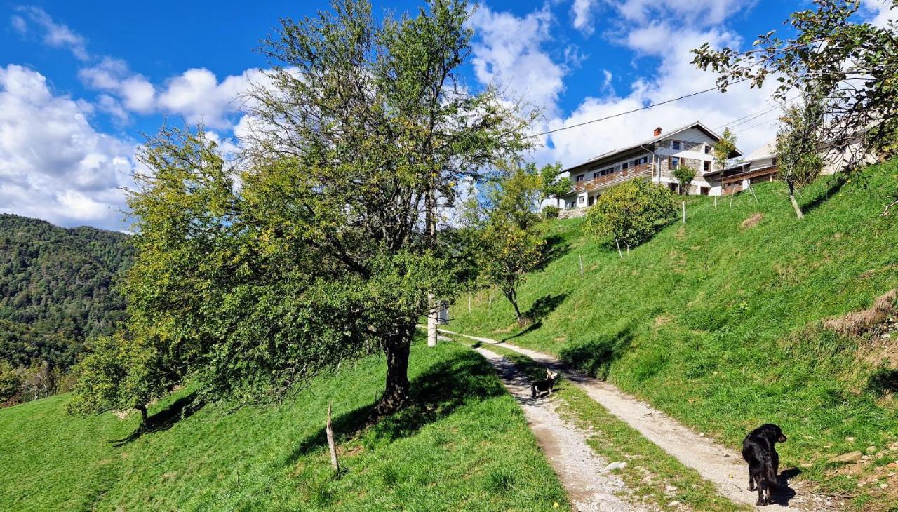 Vrhouc Tolmin