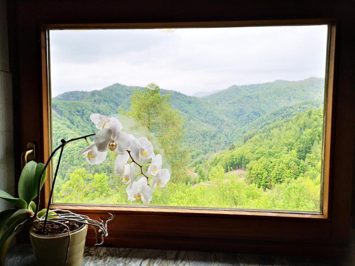 Vrhouc Apartman Tolmin