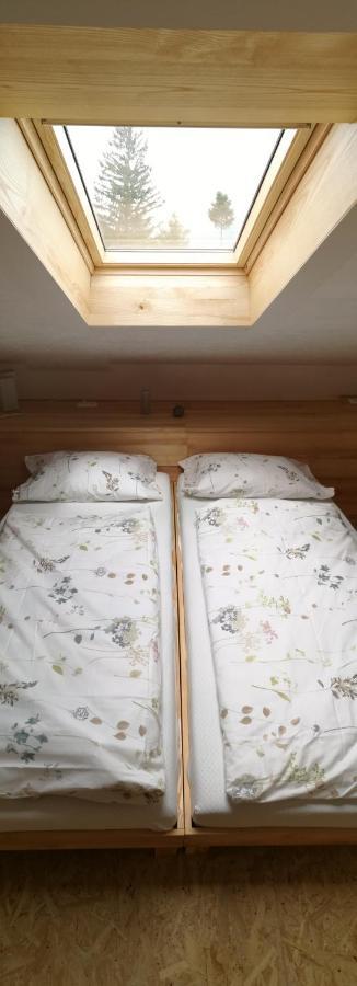 Apartman Vrhouc *